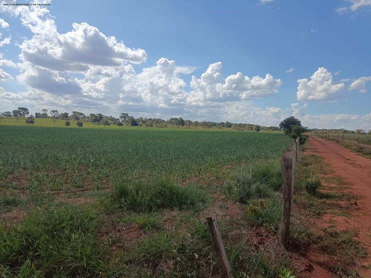 Chácara à venda, 37000m² - Foto 3