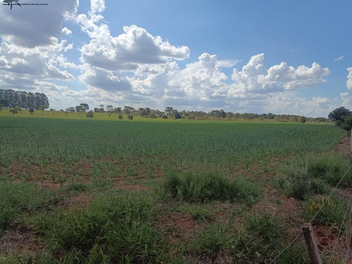 Chácara à venda, 37000m² - Foto 5