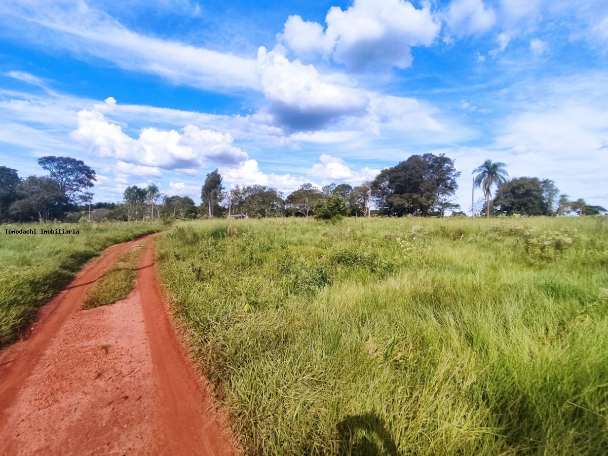 Chácara à venda, 5m² - Foto 3